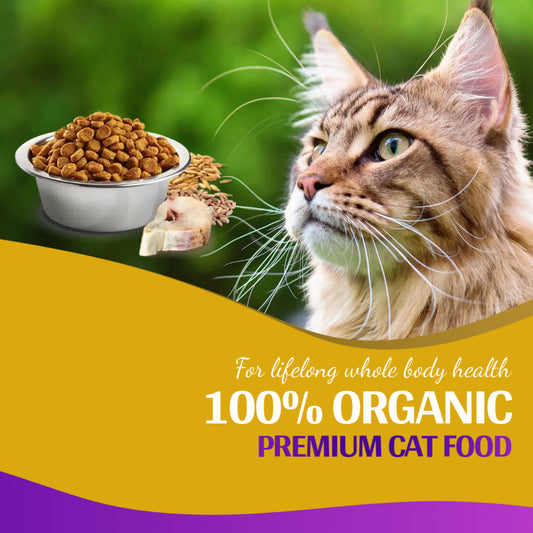 Cat Food