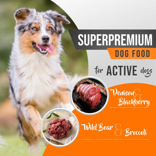 Dog Food